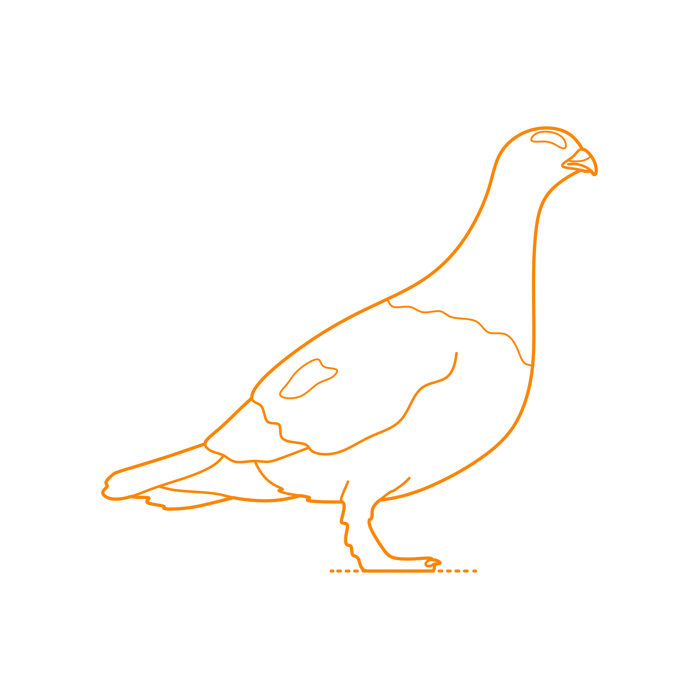 Animals Gamefowl Willow Ptarmigan Outline Svg Vector Free Vectors